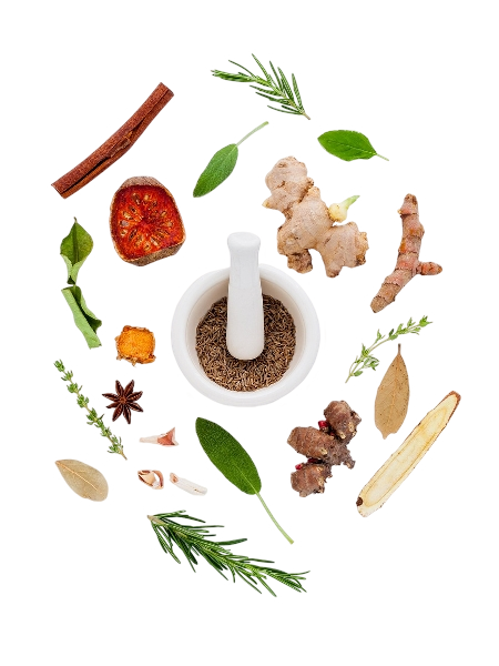 14f8954c 216d 4b00 8e76 7861946d7940 removalai preview